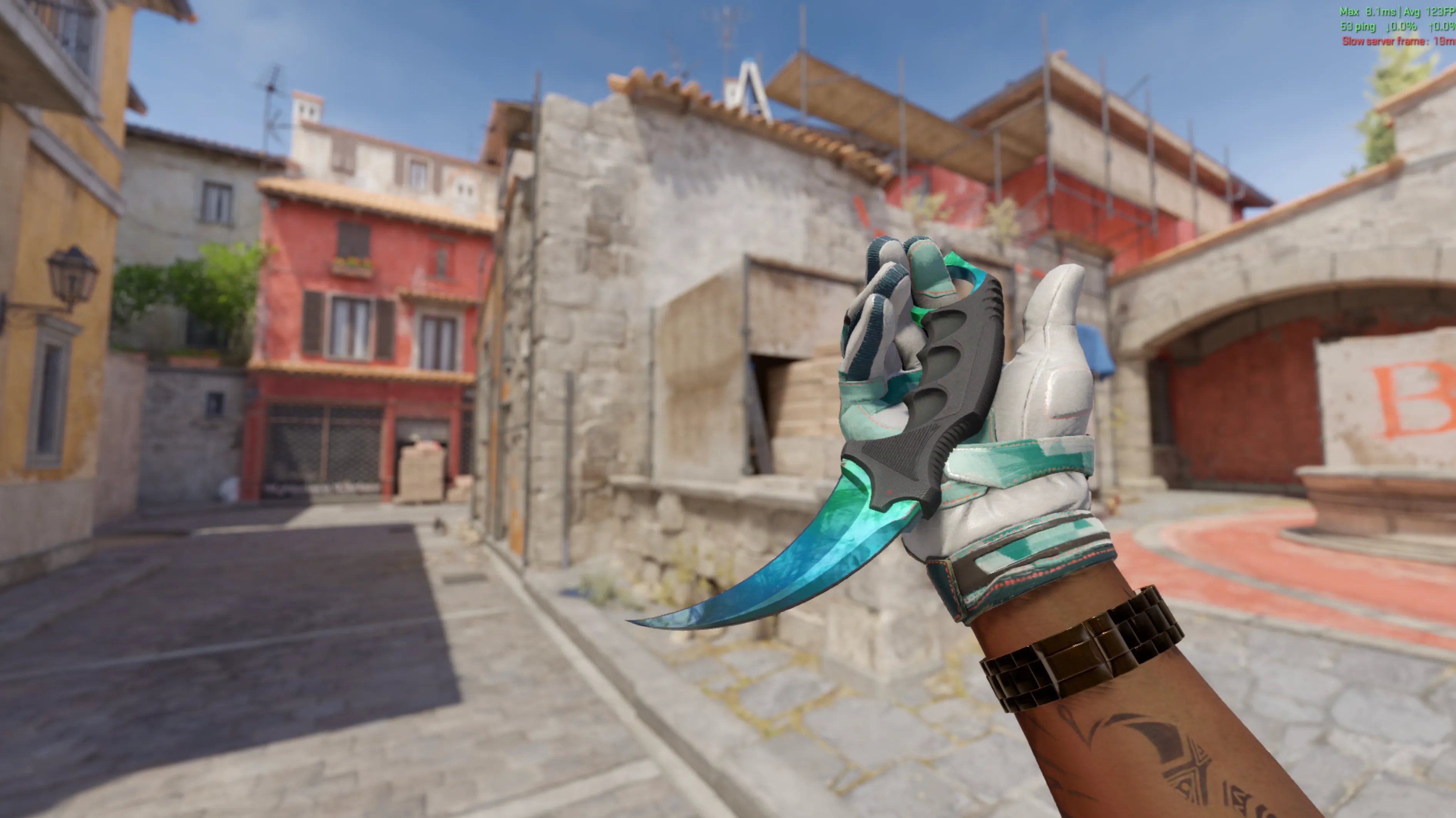 Karambit Gamma Doppler and Moto Gloves Spearmint